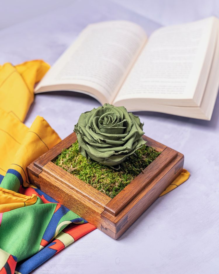 189144510_351924062936557_9054297152134273244_n