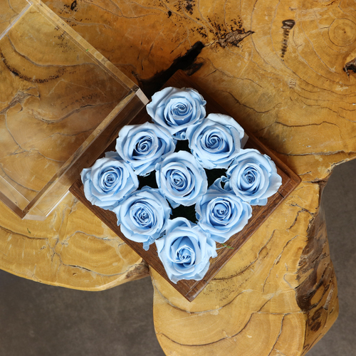 infinity rose_Lblue9