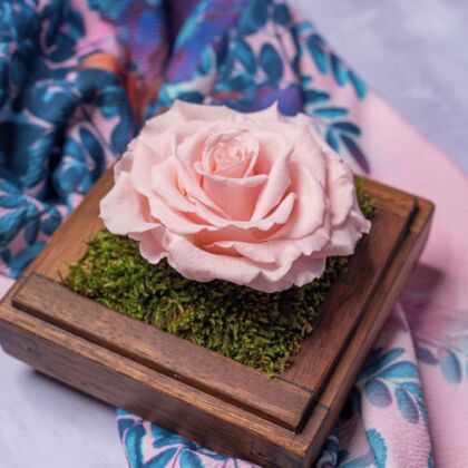 Lakewood Infinity Collection