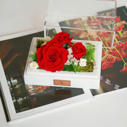 Infinity Roses Collection, long-lasting Valentines Roses for Valentine's Day.