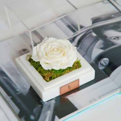 Infinity Roses Collection, long-lasting Valentines Roses for Valentine's Day.