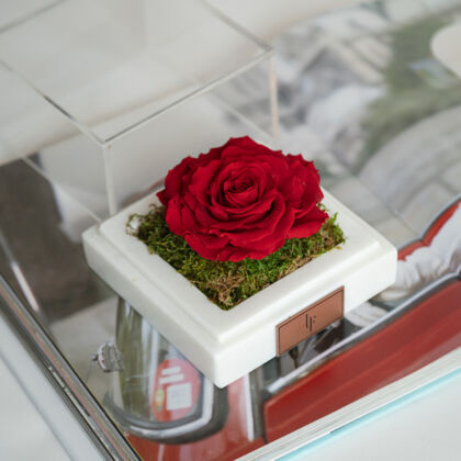 Infinity Roses Collection, long-lasting Valentines Roses for Valentine's Day.